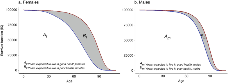 Source: Own elaboration, extracted from Di Lego et al., 2019